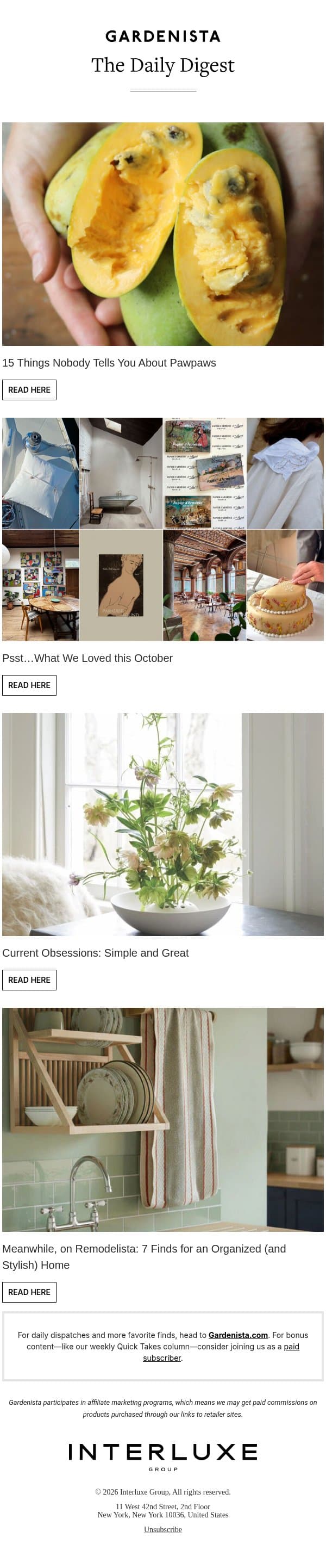 15 Things Nobody Tells You About Pawpaws email from Remodelista screenshot