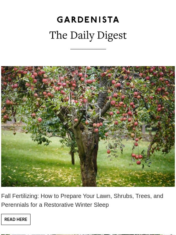 Fall Fertilizing: How to Prepare Your Lawn, Shrubs, Trees, and Perennials for a Restorative Winter Sleep email from Remodelista