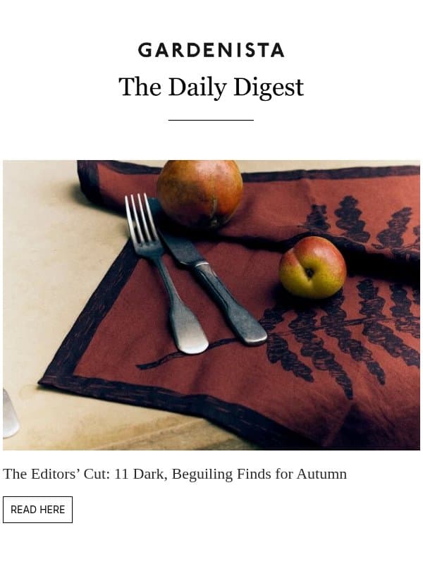 The Editorsโ Cut: 11 Dark, Beguiling Finds for Autumn email from Remodelista