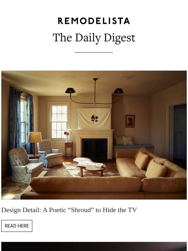 Design Detail: A Poetic “Shroud” to Hide the TV email from Remodelista