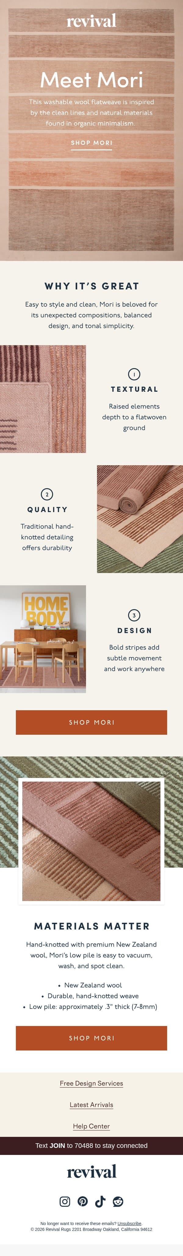 Clean lines for real-life messes email from Revival Rug screenshot