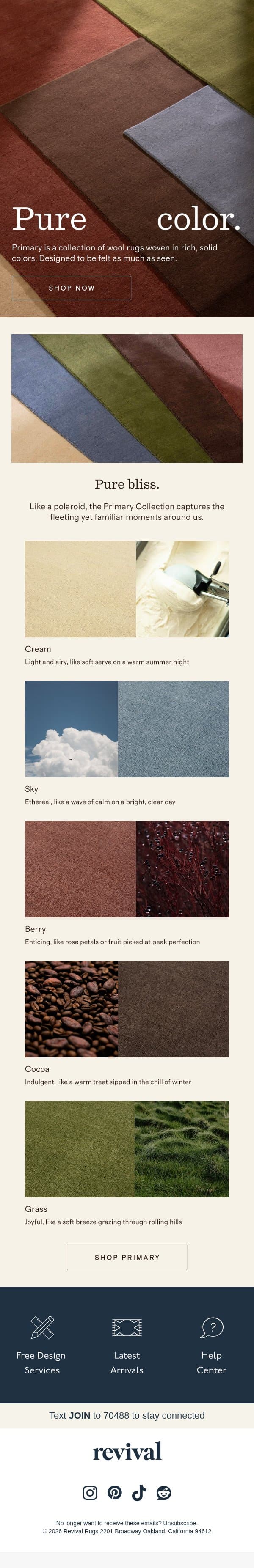 Delight your senses email from Revival Rug screenshot