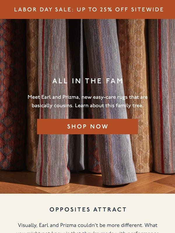 New rugs. Different patterns. Same washable DNA. email from Revival Rug