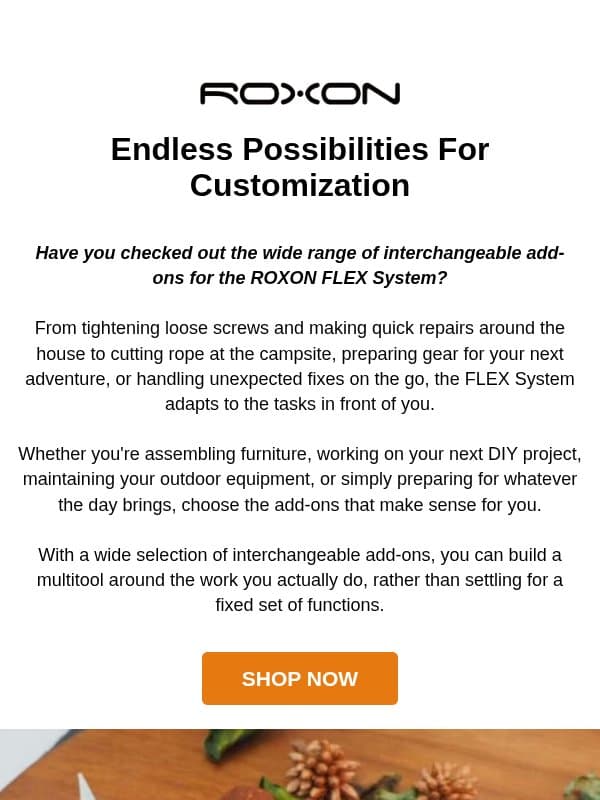 Discover More Add-Ons for Your FLEX System email from ROXON