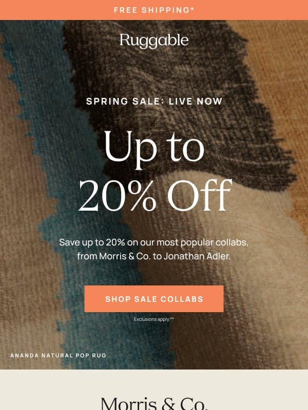 Save on your favorite collabs email from Ruggable