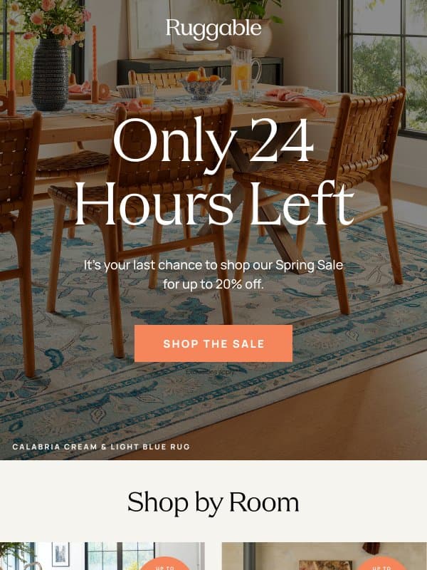 24 hours left to save ⏰ email from Ruggable