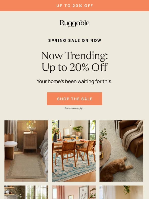 Trending rugs on sale... for now! email from Ruggable