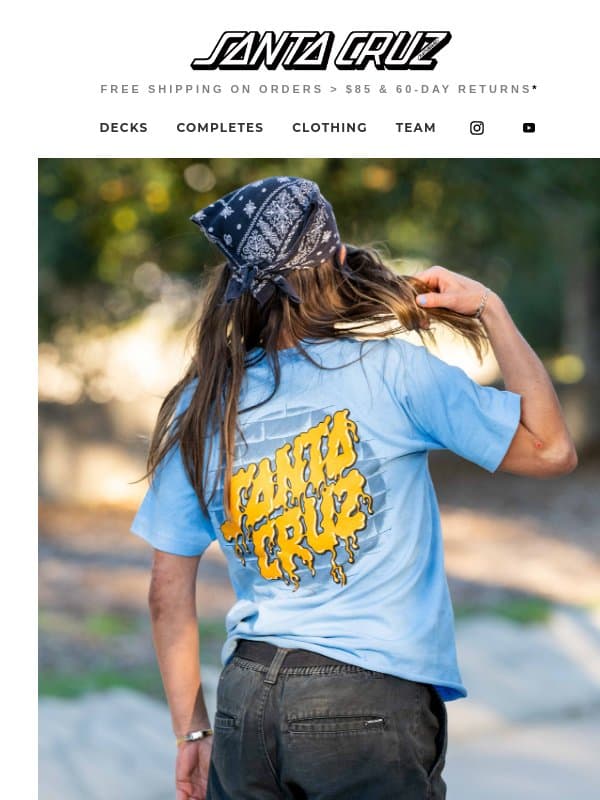 The Dot in the DIY email from Santa Cruz Skateboards