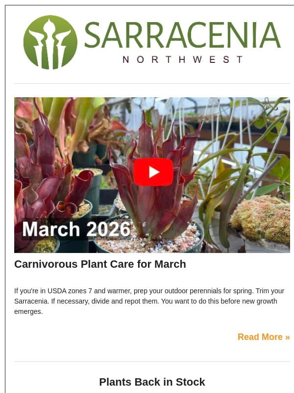 π Grow Carnivorous Plants! - February 1, 2026 email from Sarracenia Northwest
