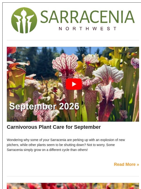 π Grow Carnivorous Plants! - September 8, 2026 email from Sarracenia Northwest