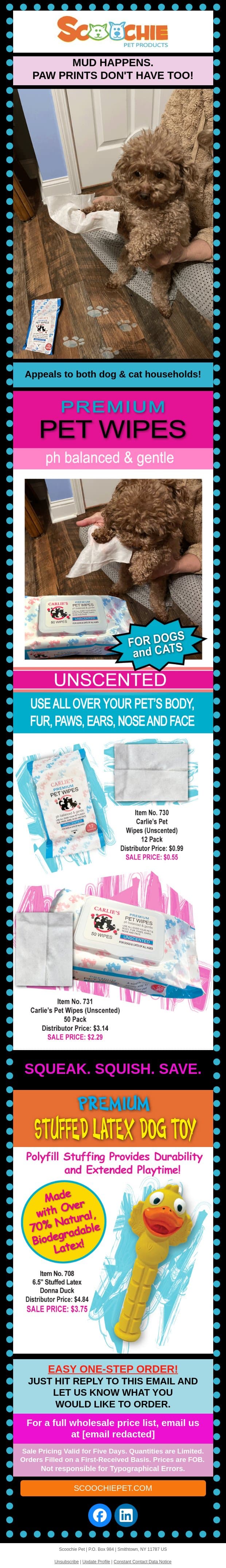 Fetch This Deal Now! email from Scoochie Pet screenshot