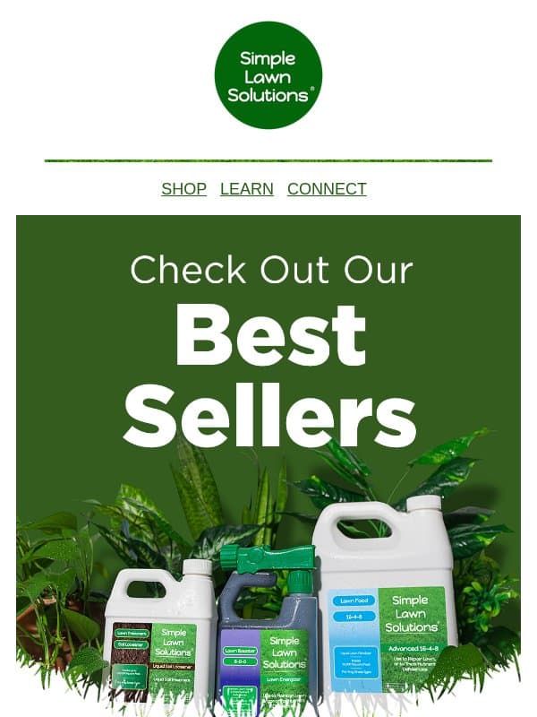 Simple solutions, professional results email from Simple Lawn Solutions