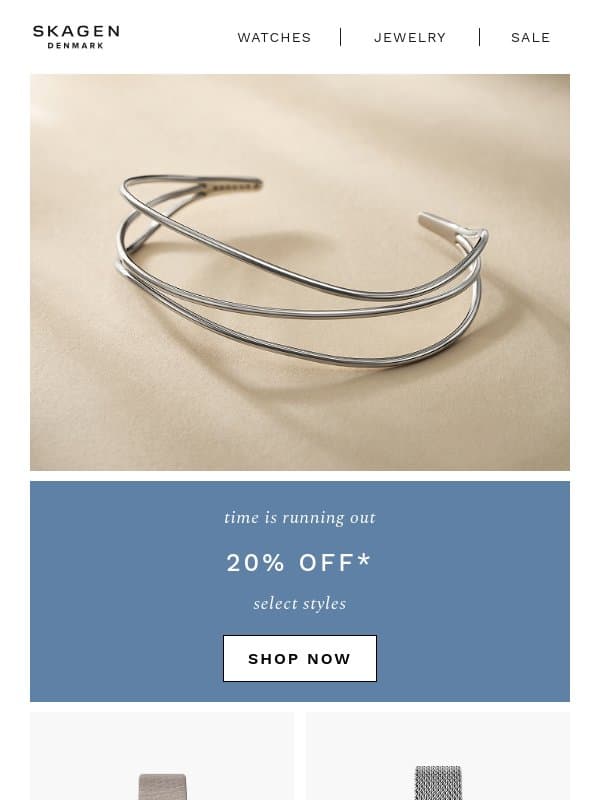 last chance for 20% off email from Skagen