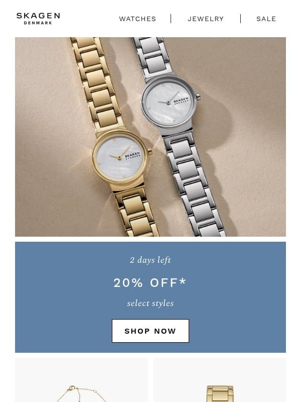 2 days left to save email from Skagen