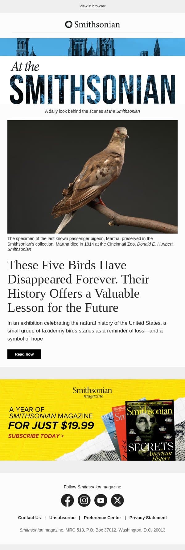 Today at the Smithsonian: These Five Birds Have Disappeared Forever. Their History Offers a Valuable Lesson for the Future email from Smithsonian Magazine screenshot
