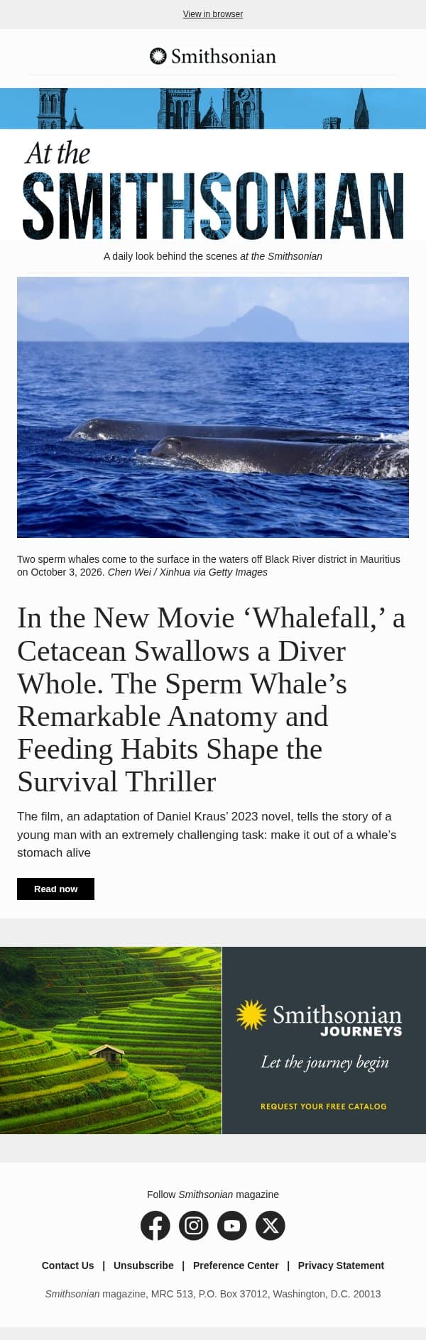 Today at the Smithsonian: The Sperm Whale’s Remarkable Anatomy and Feeding Habits Shape the Survival Thriller ‘Whalefall’ email from Smithsonian Magazine screenshot