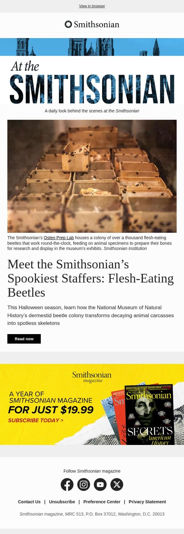 Today at the Smithsonian: Meet the Smithsonian’s Spookiest Staffers: Flesh-Eating Beetles email from Smithsonian Magazine screenshot
