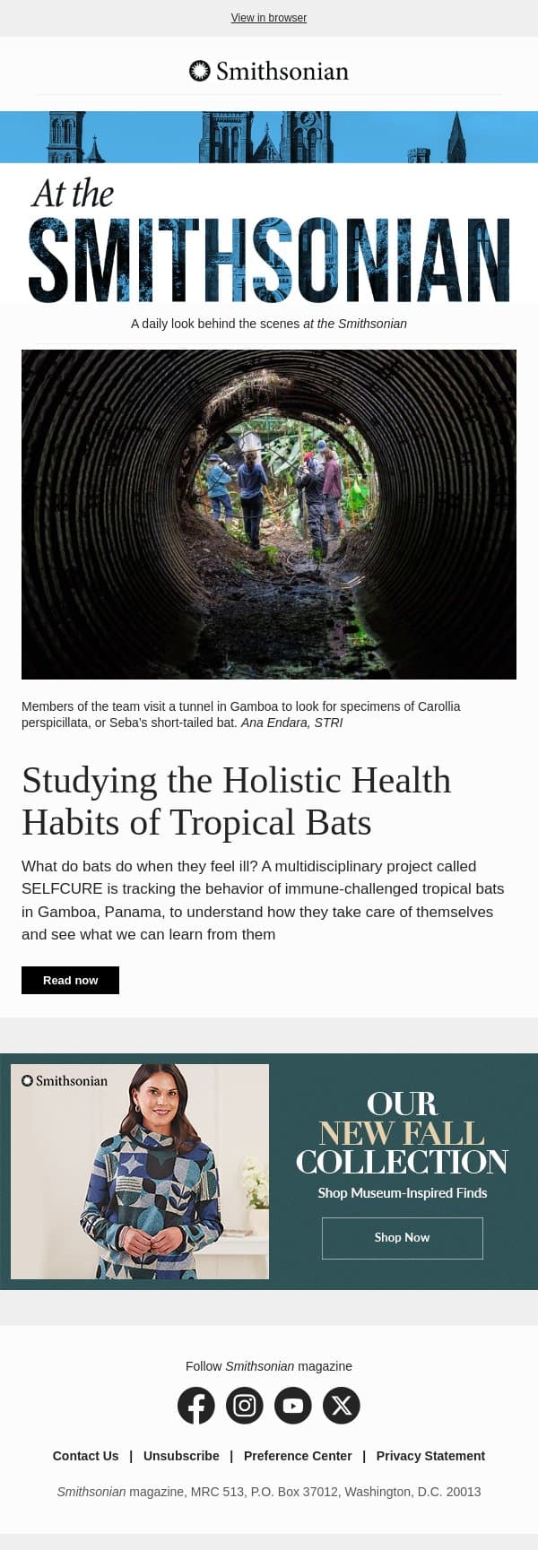 Today at the Smithsonian: Studying the Holistic Health Habits of Tropical Bats email from Smithsonian Magazine screenshot