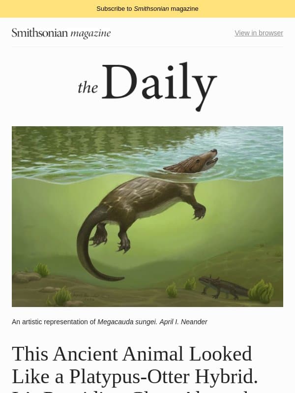 Meet the Ancient Animal That Looked Like a Platypus-Otter Hybrid, Scientists May Have Finally Figured Out How Microplastics Harm Your Body, and More email from Smithsonian Magazine