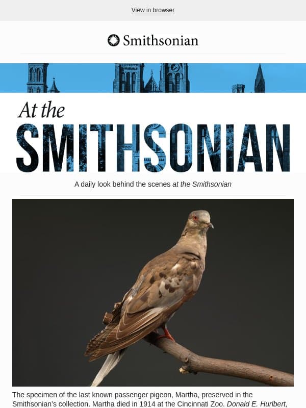 Today at the Smithsonian: These Five Birds Have Disappeared Forever. Their History Offers a Valuable Lesson for the Future email from Smithsonian Magazine