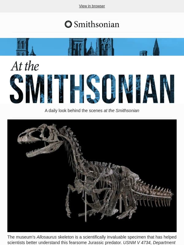 Today at the Smithsonian: Learn About Dinosaurs, Neanderthals and Elmo This Fall at the National Museum of Natural History email from Smithsonian Magazine