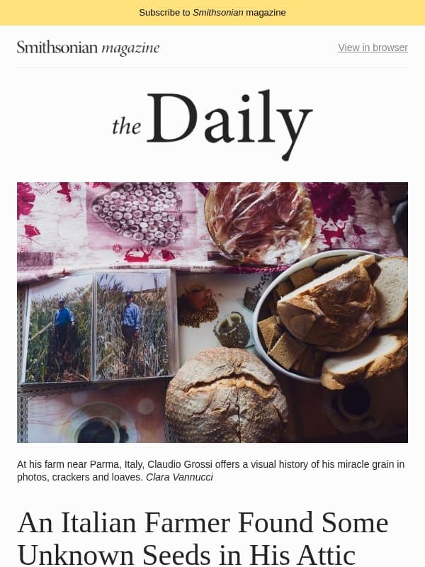 An Italian Farmer Discovered the Unknown Seeds of an Ancient Miracle Grain, Divers Recover This Mysterious Cauldron Hiding at the Bottom of an English River and More email from Smithsonian Magazine