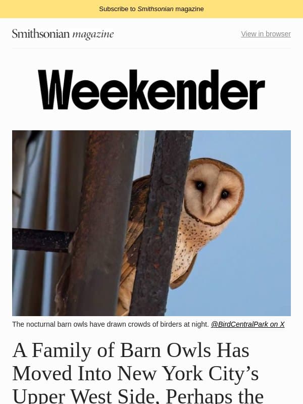 A Family of Barn Owls Has Moved Into New York City’s Upper West Side, Medieval Monastery of ‘International Importance’ Has Just Been Unearthed and More email from Smithsonian Magazine