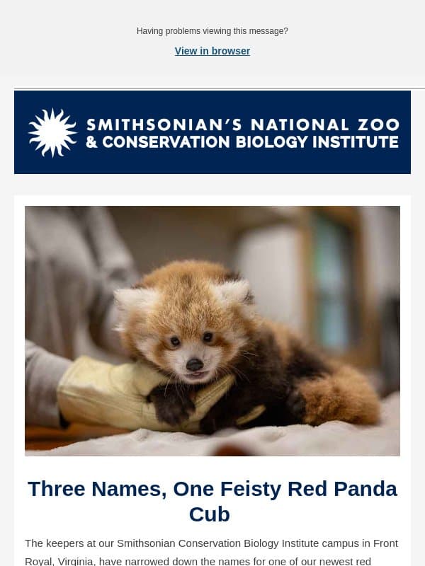 Help Us Name This Red Panda Cub! email from Smithsonian National Zoological Park