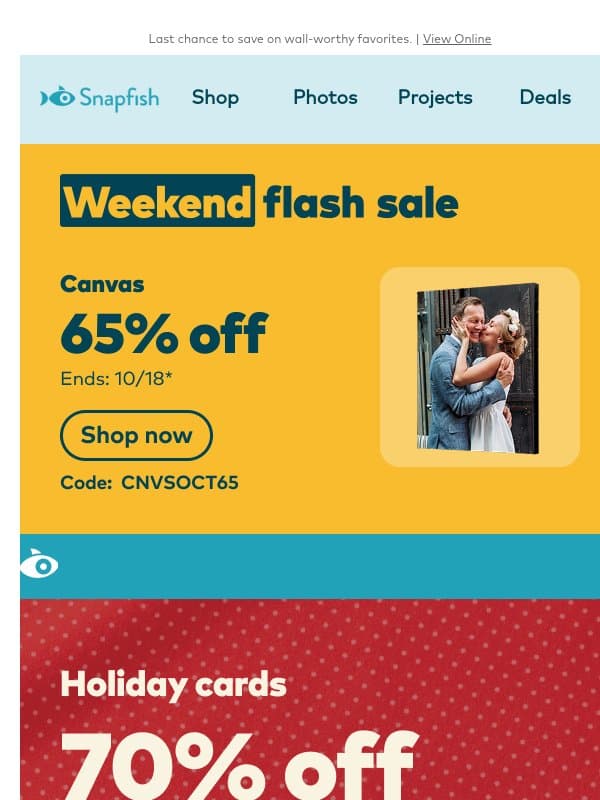 🚨 65% off canvas flash sale ends today! email from Snapfish
