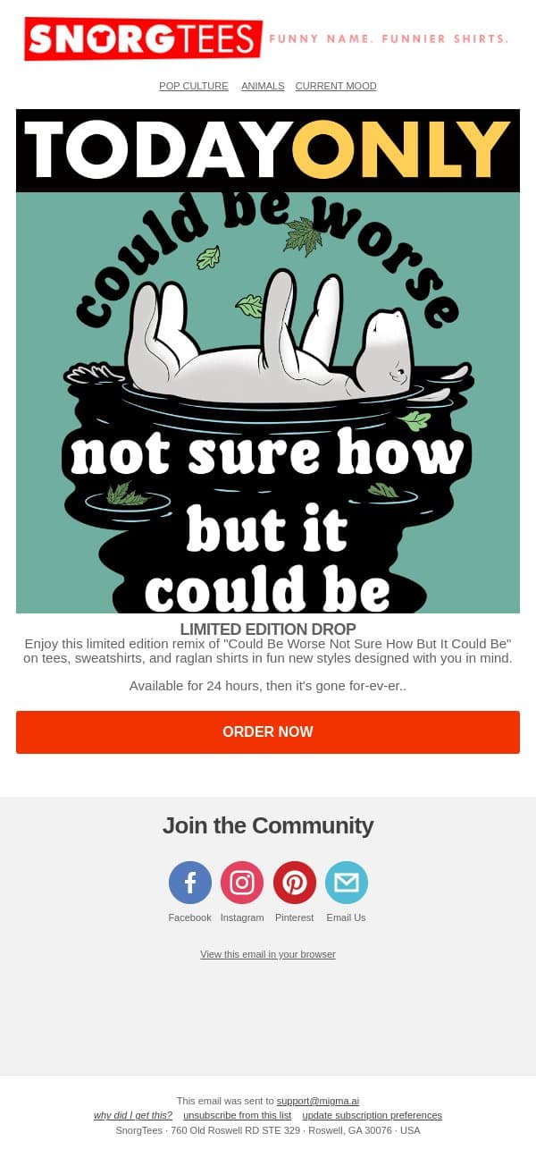 Could Be Worse Not Sure How But It Could Be - Limited Drop! ๐ email from SnorgTees screenshot