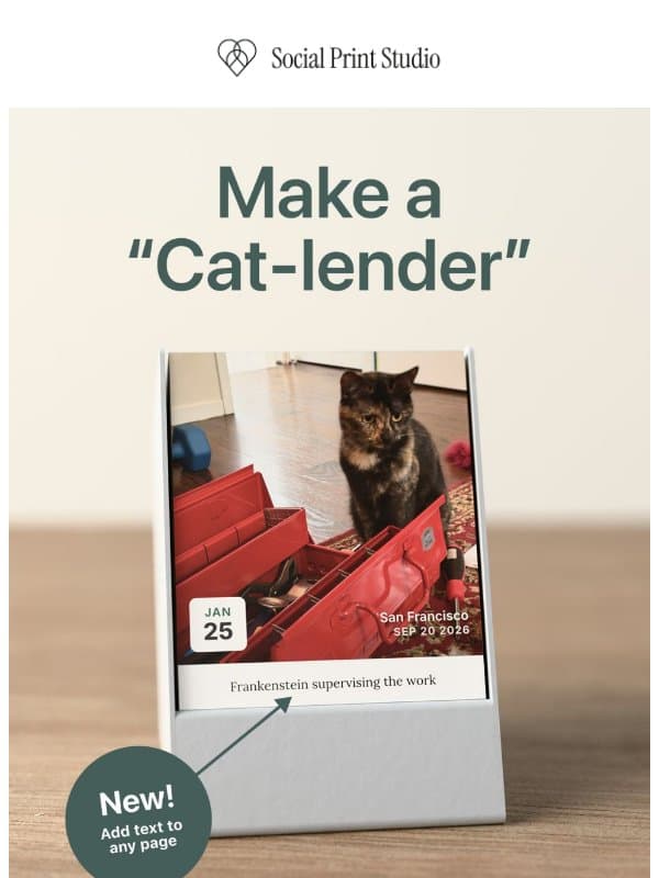 If you have 4,000 photos of your cat on your phone… email from Social Print Studio