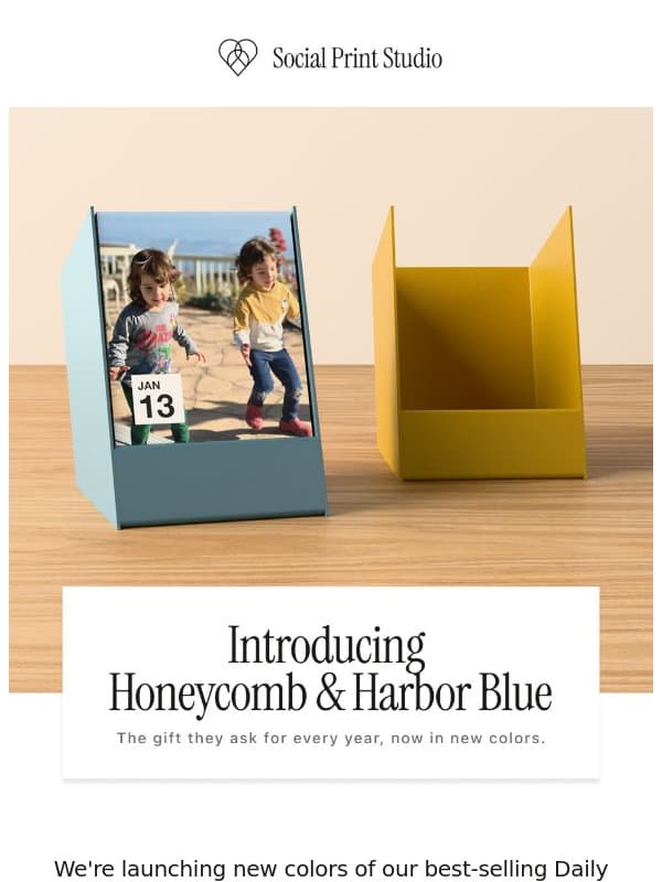 NEW Daily Calendar stands 👀 email from Social Print Studio