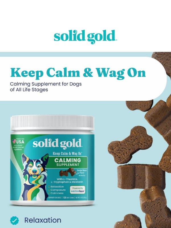 Keep calm and wag on! 😌 email from Solid Gold