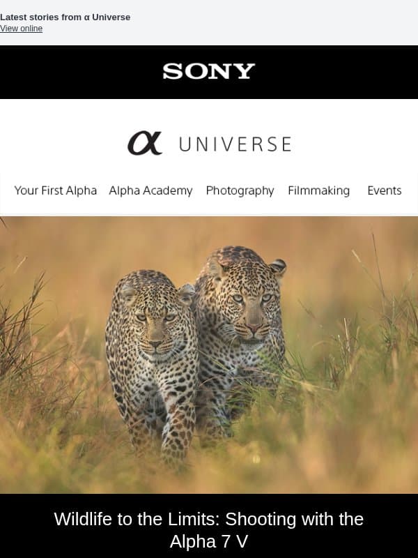Wildlife with the Alpha 7 V – α Universe Newsletter 📷 email from Sony UK