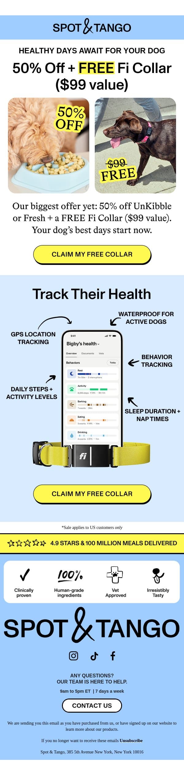 Real food for your dog this summer ☀️ email from Spot & Tango screenshot