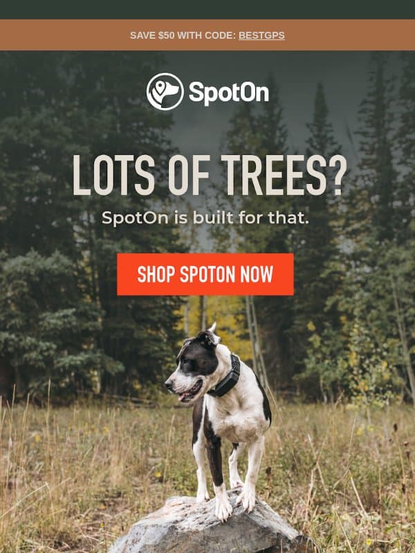 Do trees interfere with GPS dog fences? email from SpotOn