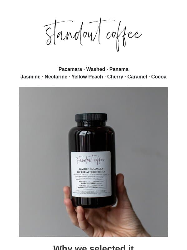 A washed Pacamara from Panama email from Standout Coffee