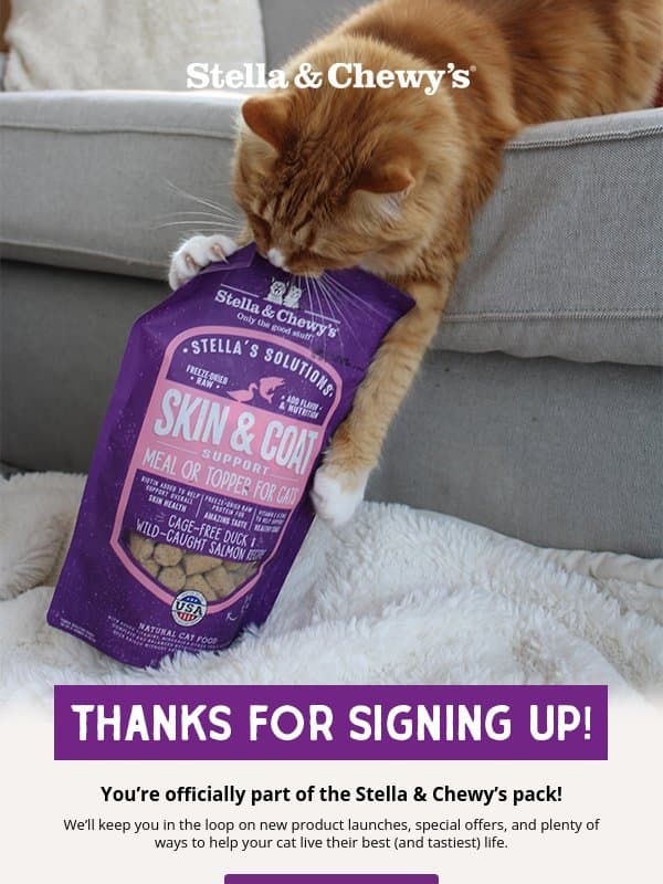 You’ve Joined the Pack! 😻 email from Stella & Chewy's