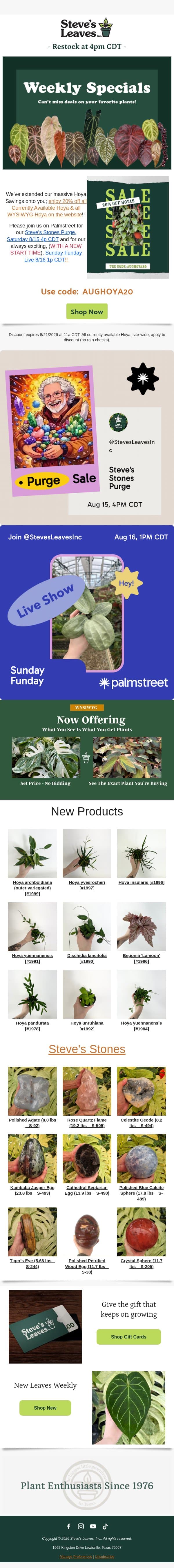 π Unlock 20% Off Your Favorite Hoya! email from Steve's Leaves screenshot