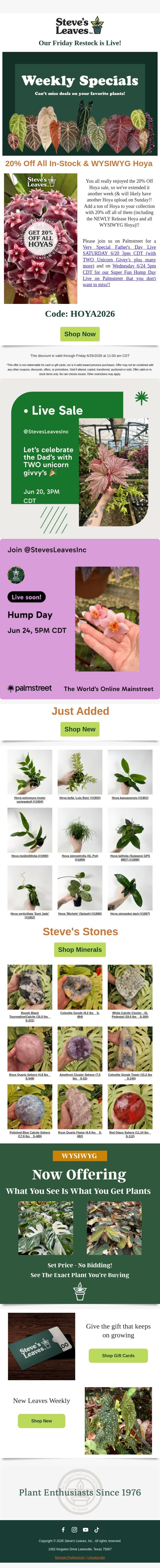 ๐ Hoya Sale Extended! Grab 20% Off Now! email from Steve's Leaves screenshot