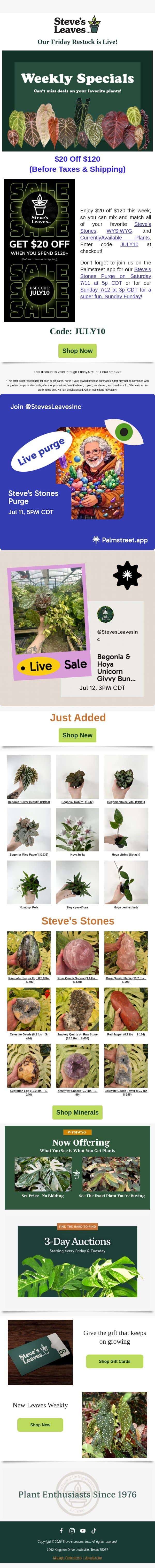 🎉 Celebrate Savings with $20 Off $120! email from Steve's Leaves screenshot