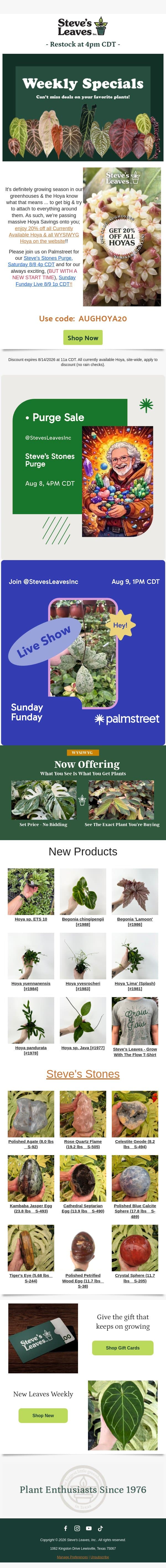 Grab 20% Off Hoya - Limited Time Offer! email from Steve's Leaves screenshot