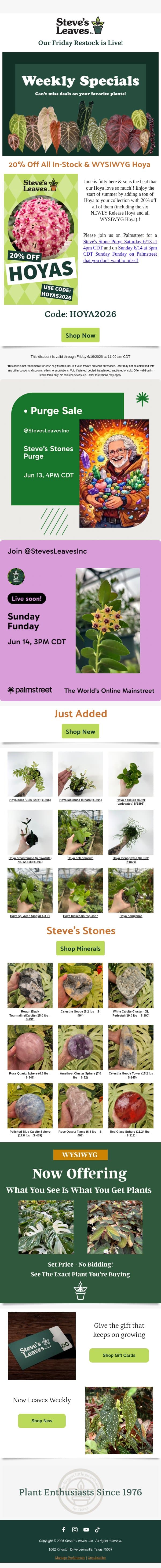 June is Here - Time for 20% Off Hoya! email from Steve's Leaves screenshot