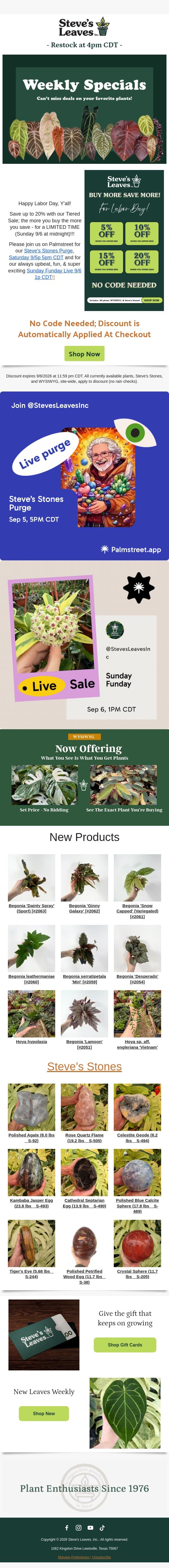 π Happy Labor Day! Grab 20% Off Now! email from Steve's Leaves screenshot