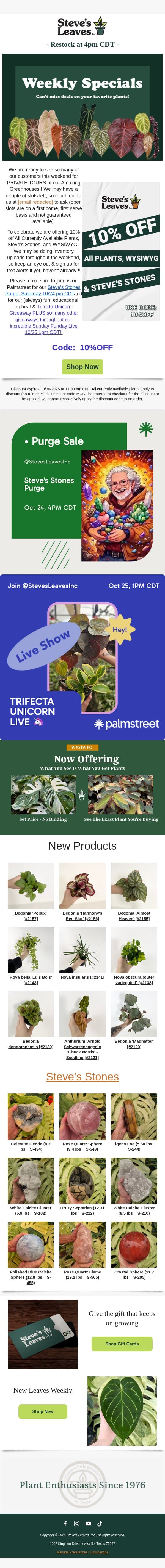 🎉 Enjoy 10% Off Everything Just for You! email from Steve's Leaves screenshot