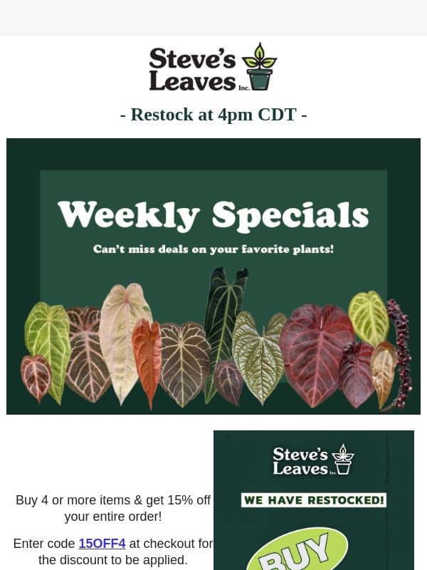 Don't Miss Out on Fall 15% Savings! email from Steve's Leaves