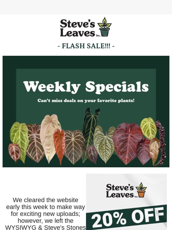 Don't Miss 20% Off - Code: MONDAY20! email from Steve's Leaves