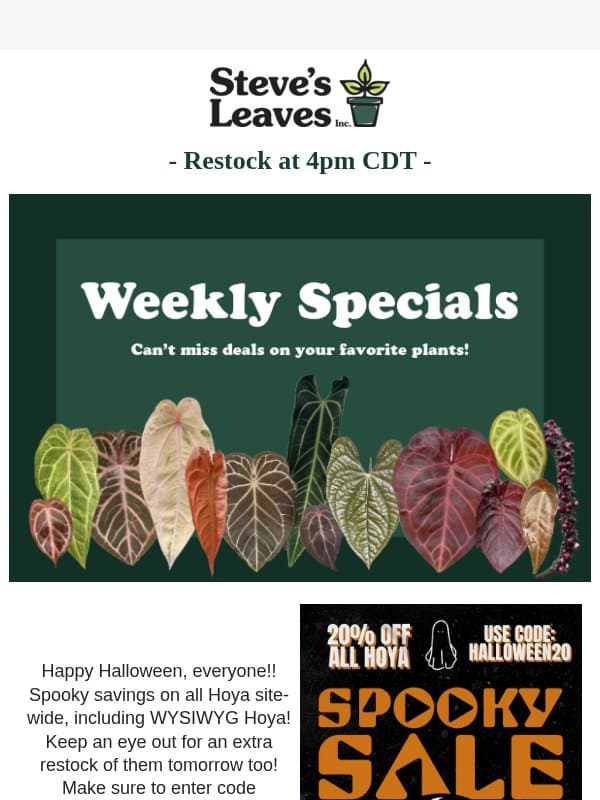 👻 Spooktacular 20% Off Awaits You! email from Steve's Leaves