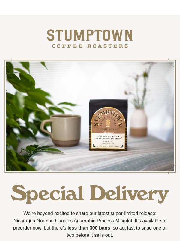 There’s less than 300 bags up for grabs ☕ email from Stumptown Coffee Roasters