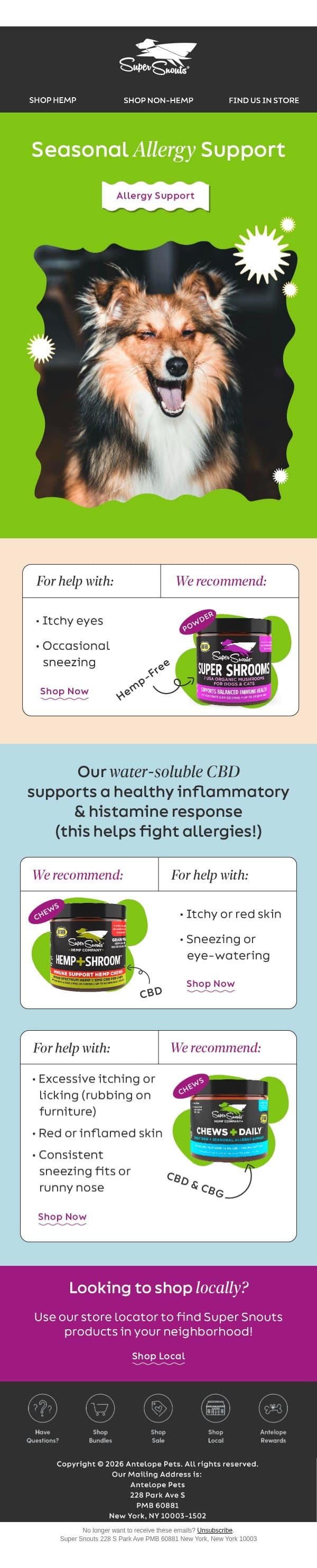 Tired of your pet’s seasonal allergies? email from Super Snouts screenshot